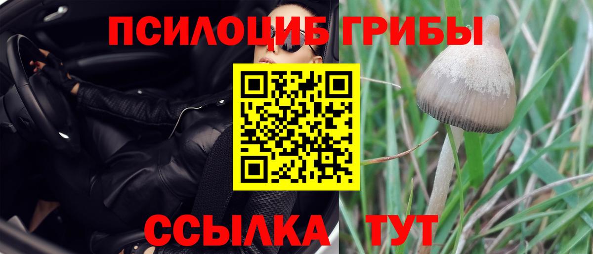 Галлюциногенные грибы мухоморы Аша
